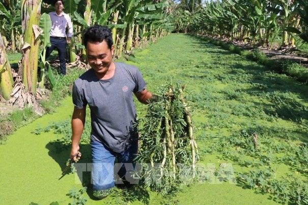 Nguồn vốn chính sách tiếp sức kinh tế nông thôn, mở hướng làm giàu trên quê hương