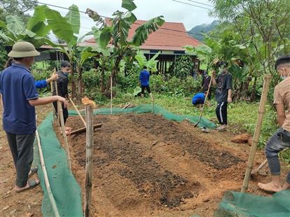 Xây dựng mô hình cải tạo vườn tạp, phát triển kinh tế vườn hộ