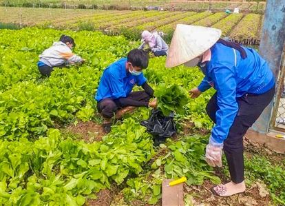 Sa Thầy: Phát huy hiệu quả nguồn vốn ủy thác trong thanh niên