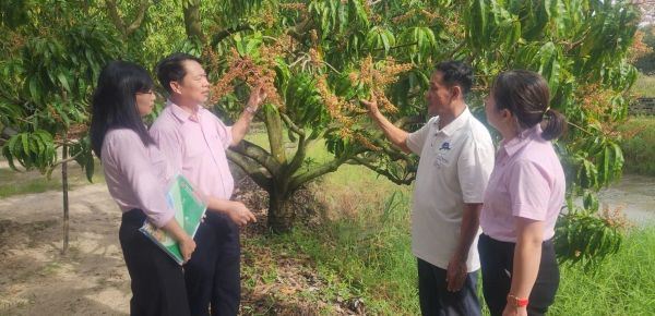Khánh Hòa: Tín dụng chính sách phát huy vai trò là “đòn bẩy” an sinhKhánh Hòa: Tín dụng chính sách phát huy vai trò là “đòn bẩy” an sinh