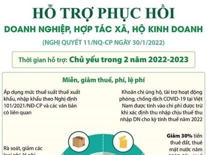 HỖ TRỢ PHỤC HỒI DOANH NGHIỆP, HỢP TÁC XÃ, HỘ KINH DOANH