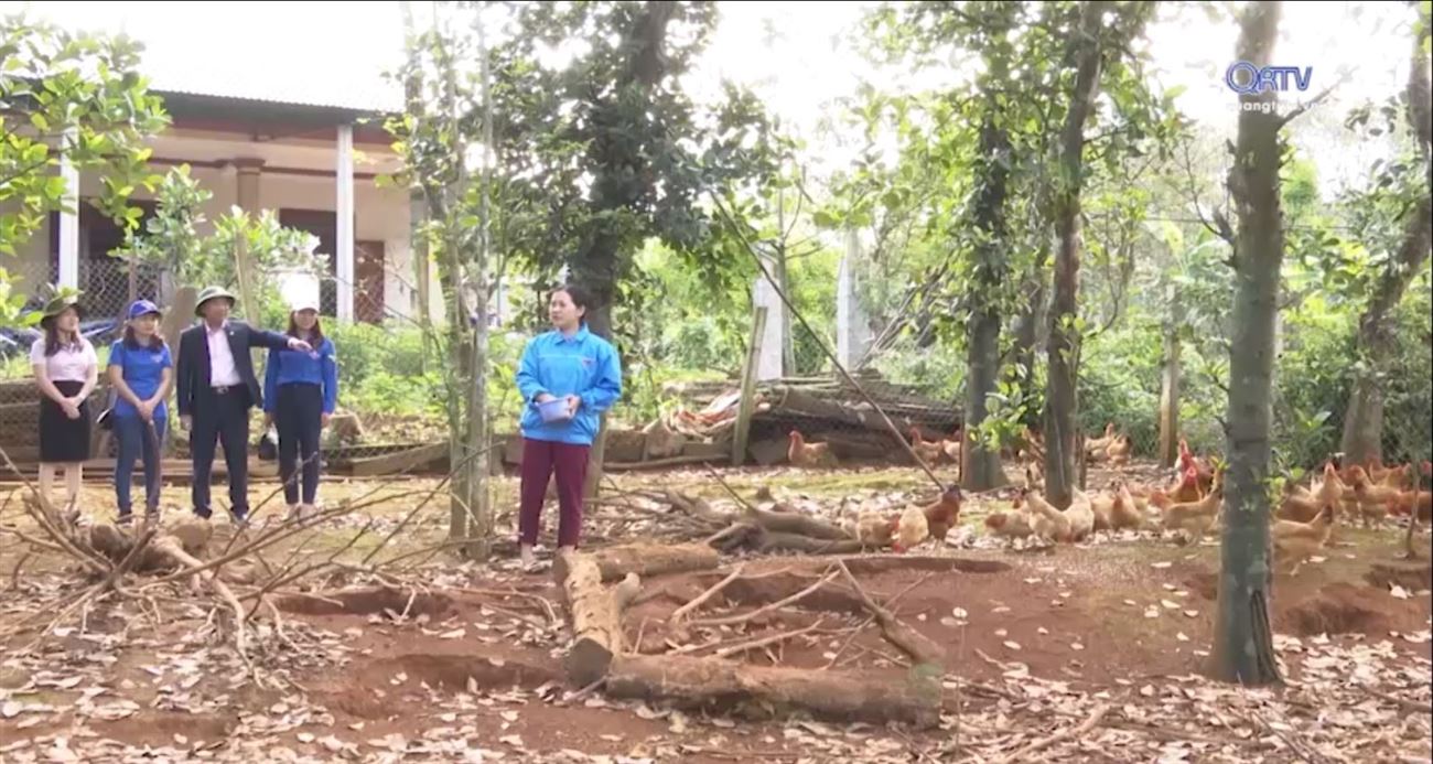 Vốn chính sách giúp đoàn viên thanh niên phát triển kinh tế, khởi nghiệp