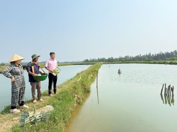 Tín dụng chính sách đồng hành cùng người dân vùng đầm phá Tam Giang vượt khó sau thiên tai