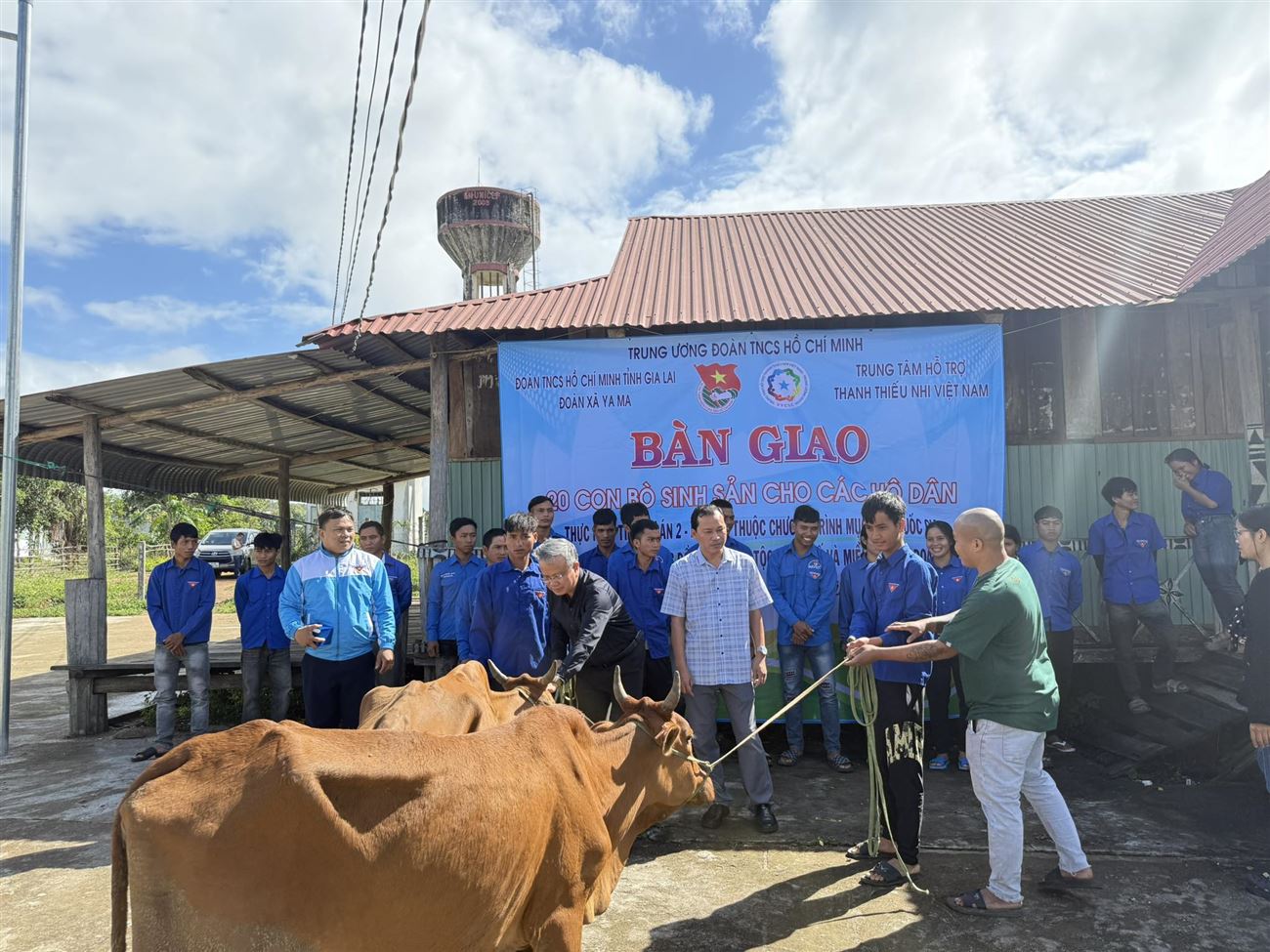 GIA LAI: GẦN 50 MÔ HÌNH BÒ LAI ĐƯỢC TRAO TẶNG CHO THANH NIÊN VÀ ĐỒNG BÀO DÂN TỘC THIỂU SỐ