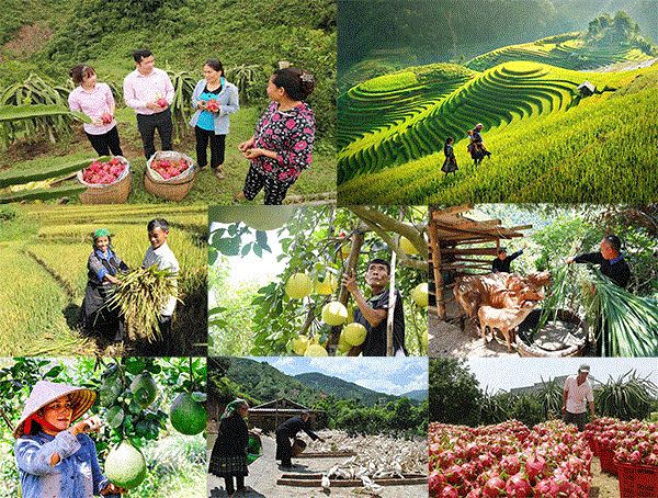 TRÊN NHỮNG CUNG ĐƯỜNG PHÁT TRIỂN