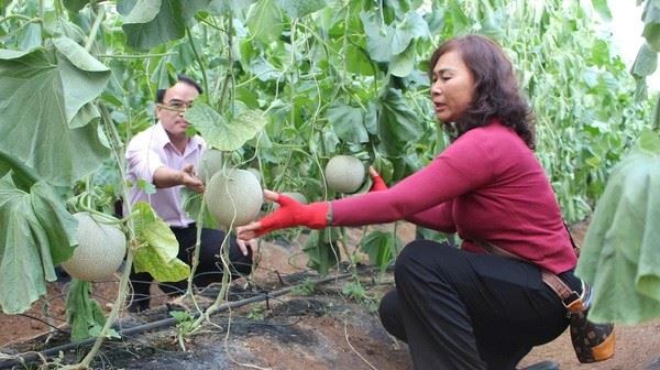 Bài 2: Khát vọng vươn lên từ dòng vốn ưu đãi