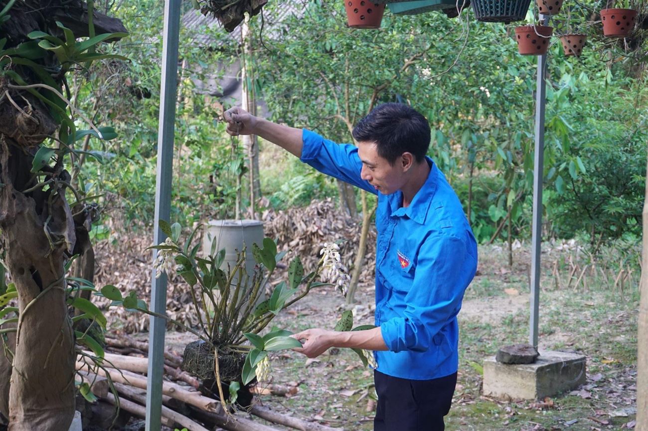 Tiếp sức cho thanh niên khởi nghiệp