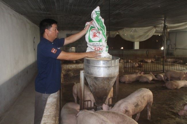 Vốn ưu đãi “nâng bước” hộ mới thoát nghèo