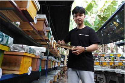 Nuôi ong chúa bán giống, nam sinh có thu nhập tự lo chi phí học hành