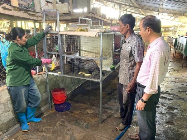 Hiệu quả từ nguồn vốn chính sách ở vùng cao Sơn Hà