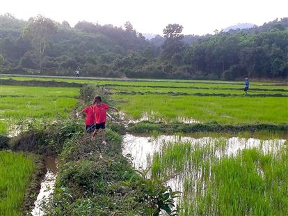 Lan toả những lá đơn xin thoát nghèo của người Mã Liềng