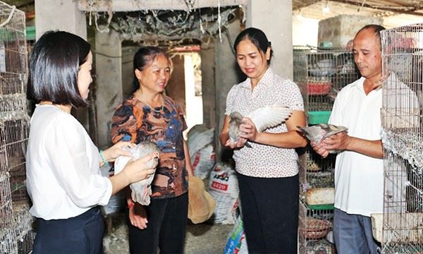 “Cánh tay nối dài” của tín dụng chính sách xã hội