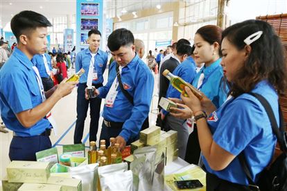 Hỗ trợ thanh niên Thủ đô khởi nghiệp, đổi mới sáng tạo và chuyển đổi số