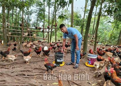 Đoàn Thanh niên thị trấn Ba Hàng Đồi: Thúc đẩy khởi nghiệp trong thanh niên
