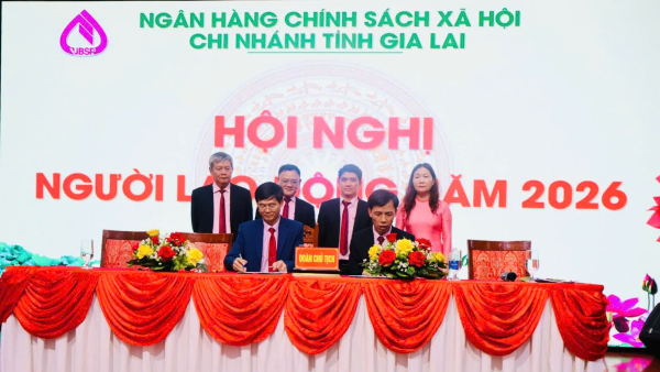 Chi nhánh NHCSXH tỉnh Gia Lai hoàn thành xuất sắc nhiệm vụ năm 2025