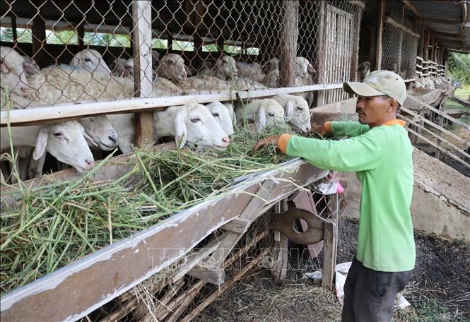 Chỉ thị của Ban Bí thư về tăng cường sự lãnh đạo đối với công tác giảm nghèo bền vững