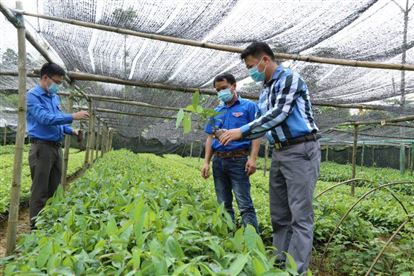 VAI TRÒ CỦA TỔ CHỨC ĐOÀN TRONG CHƯƠNG TRÌNH ĐỒNG HÀNH VỚI THANH NIÊN KHỞI NGHIỆP, LẬP NGHIỆP