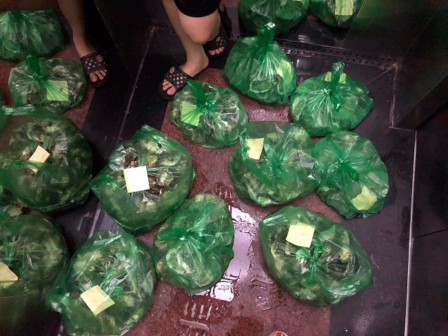 Từ 5 triệu đồng trong tay, 9x Hưng Yên khiến "tiền đẻ tiền", mỗi tháng thu nhập hàng trăm triệu đồng - 2