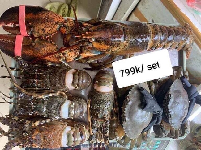 Từ 5 triệu đồng trong tay, 9x Hưng Yên khiến "tiền đẻ tiền", mỗi tháng thu nhập hàng trăm triệu đồng - 5