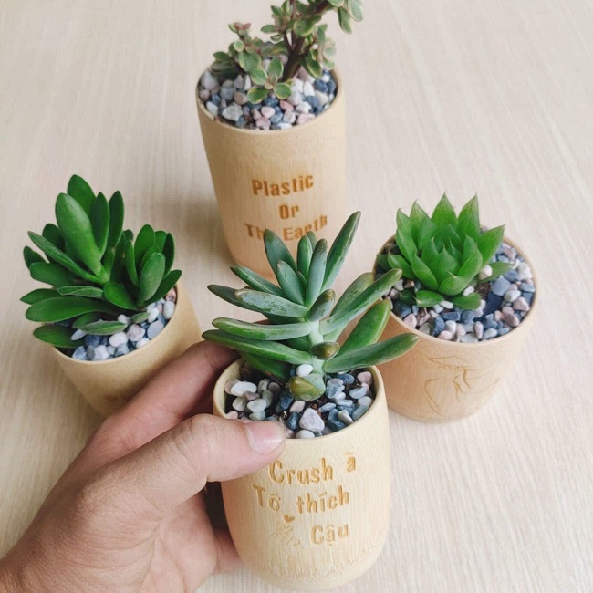 Khởi nghiệp với 10 triệu đồng, 9x Lâm Đồng thu nửa tỷ đồng mỗi tháng - 7