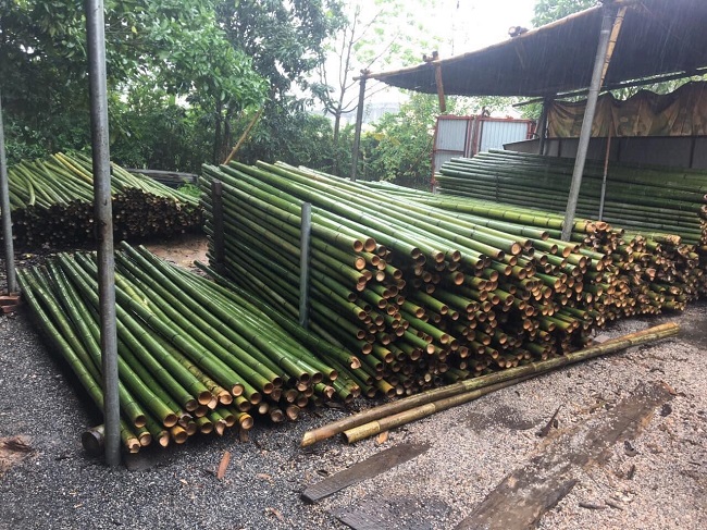 Khởi nghiệp với 10 triệu đồng, 9x Lâm Đồng thu nửa tỷ đồng mỗi tháng - 2