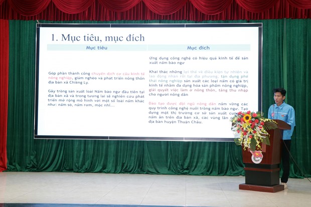 Lan toa tinh than khoi nghiep trong thanh nien Son La hinh anh 1