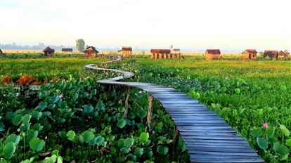 Tái khởi nghiệp sau dịch: Sự kết hợp độc đáo giữa nông nghiệp và du lịch