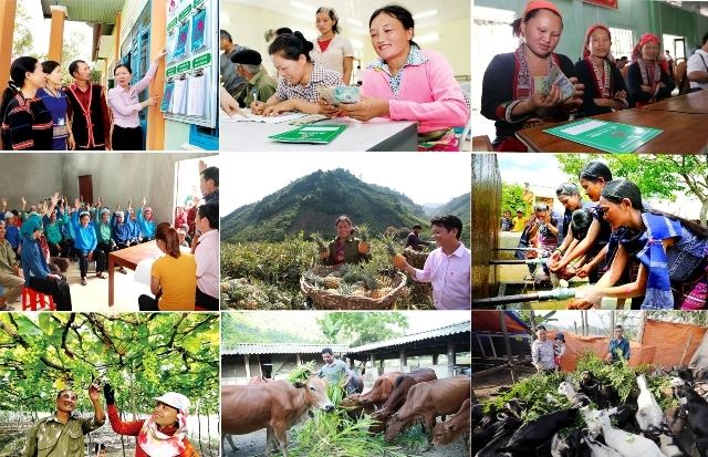 KL của Ban Bí thư về tiếp tục thực hiện Chỉ thị số 40-CT/TW về tăng cường sự lãnh đạo của Đảng đối với tín dụng CSXH