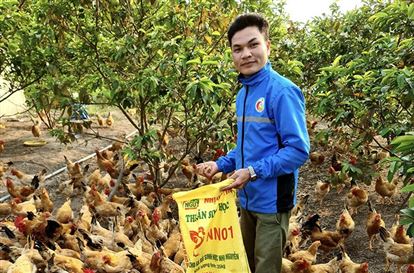 Sôi nổi phong trào thanh niên khởi nghiệp từ nông nghiệp