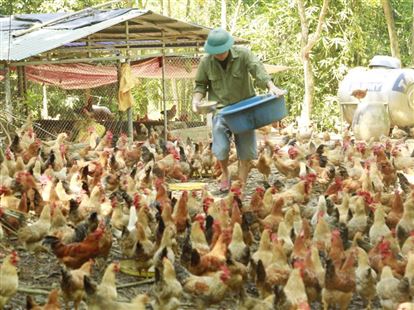 Những thanh niên dám nghĩ, dám làm