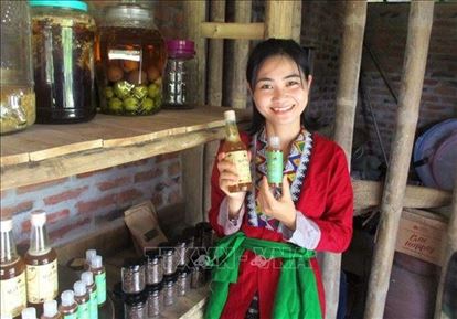 9x xứ Thanh khởi nghiệp từ mô hình “Vườn rừng bản Thổ”