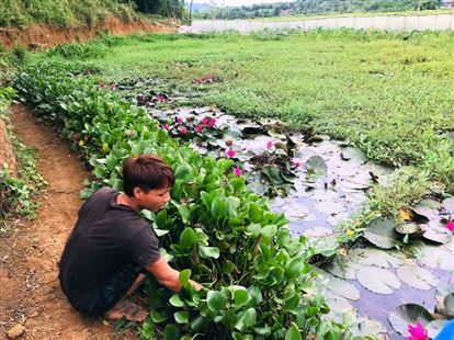 Chàng trai bỏ túi trăm triệu mỗi năm nhờ nuôi ốc bươu đen