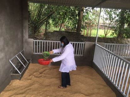 Lan tỏa mô hình nuôi lợn sạch đem lại hiệu quả kinh tế cao