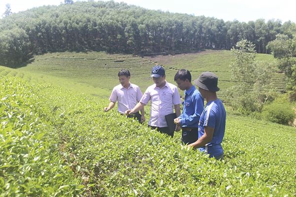 Tiếp nguồn vốn hỗ trợ thanh niên phát triển kinh tế
