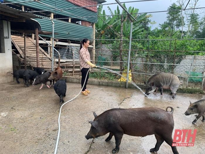 Tín dụng chính sách - “Trợ lực” để khôi phục và phát triển kinh tế