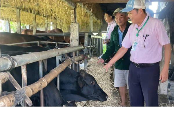 Vốn chính sách tiếp sức Cựu chiến binh phát triển kinh tế