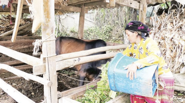 Duy trì dòng chảy nguồn vốn tín dụng chính sách