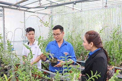 Lâm Đồng: Mỗi dự án thanh niên khởi nghiệp được vay tối đa 2 tỷ đồng