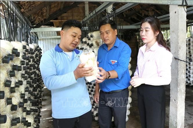 Vốn chính sách mở đường cho thanh niên khởi nghiệp