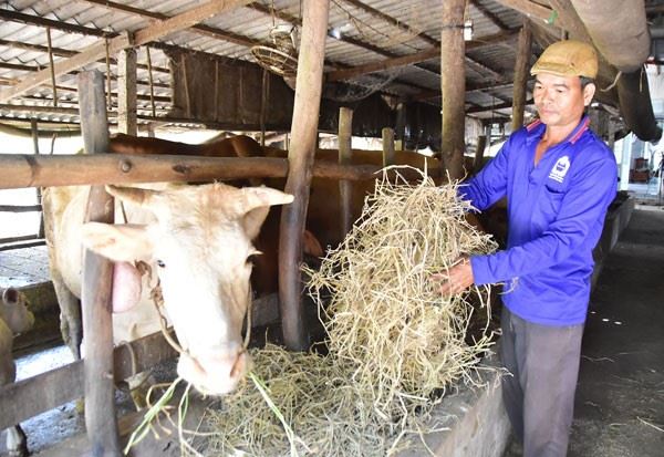 Đồng bào Khmer thoát nghèo từ nguồn vốn tín dụng chính sách