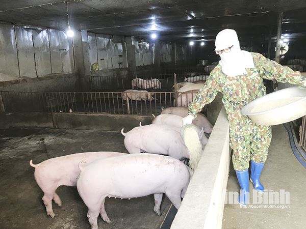 Vốn ủy thác từ ngân sách địa phương: Trợ lực cho người nghèo và đối tượng chính sách