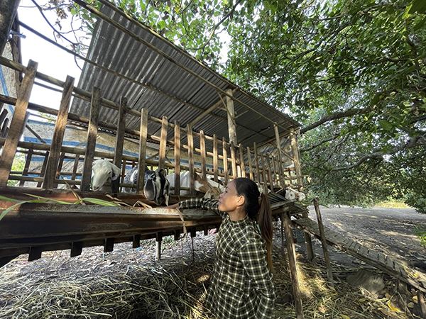 “Đòn bẩy” tạo sinh kế bền vững 23/02/2023 
