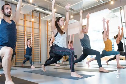Câu lạc bộ thể thao, võ thuật, Yoga, văn hóa, nghệ thuật