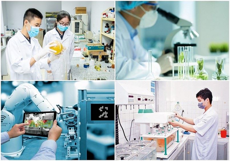 Kết luận của Bộ Chính trị về một số giải pháp đột phá trong tuyển dụng, bố trí, sử dụng, đãi ngộ cán bộ