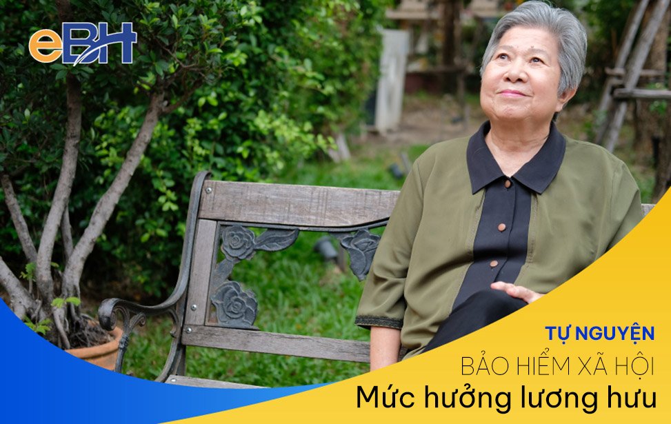 Người tham gia BHXH tự nguyện hưởng lương hưu hằng tháng