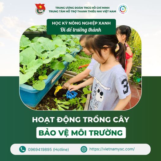 Hoạt động trồng cây xanh bảo vệ môi trường