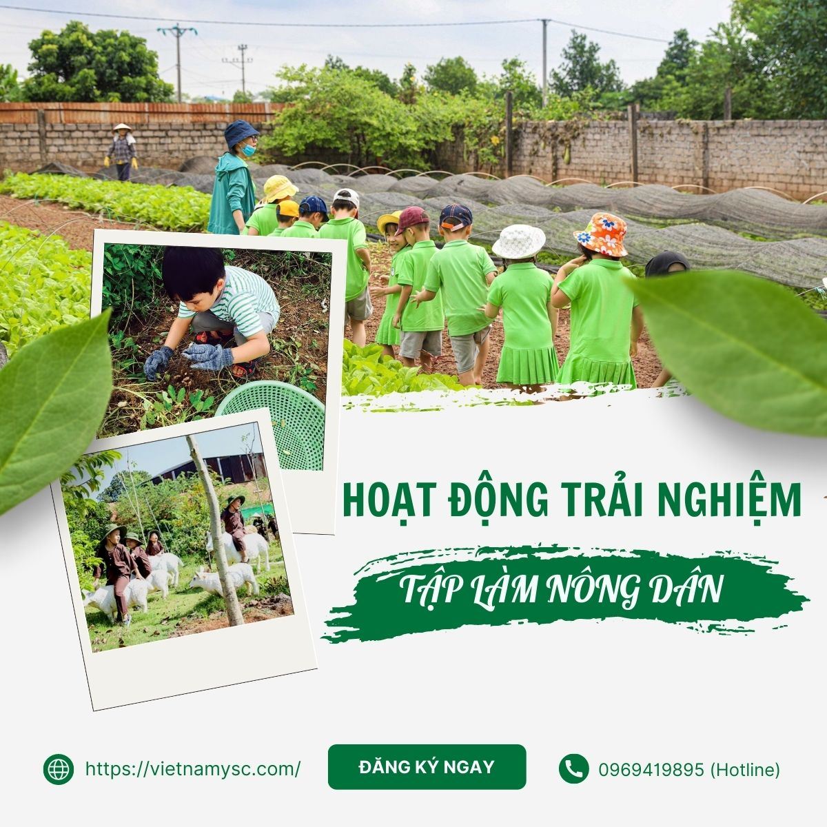 Khám phá các hoạt động trong khoá Học kỳ Nông nghiệp xanh - Đi để trưởng thành
