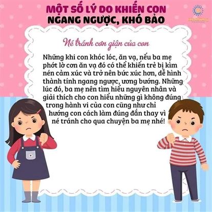 MỘT SỐ LÝ DO KHIẾN CON NGANG NGƯỢC, KHÓ BẢO